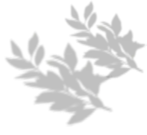 Beach Club in Nusa Penida