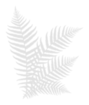 Beach Club in Nusa Penida